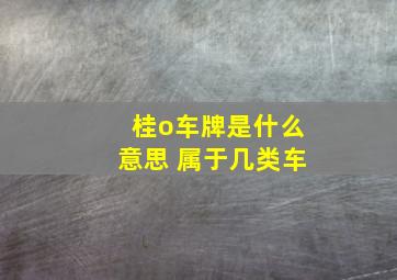 桂o车牌是什么意思 属于几类车